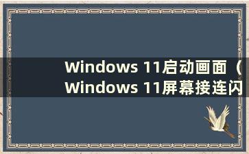 Windows 11启动画面（Windows 11屏幕接连闪烁）